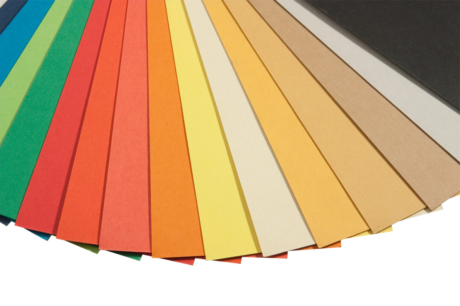 Color Scheme